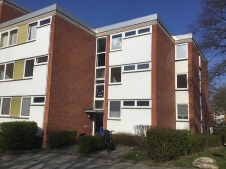 Neue Wohnung, neues Glück! 3-Zimmer-Wohnung frisch saniert - Photo 3