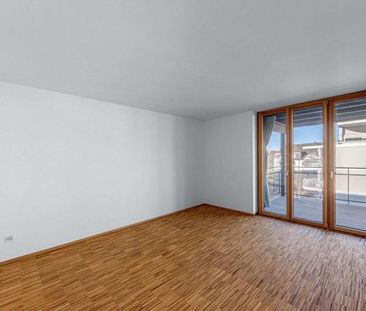 Looking for a unique apartment in Birsfelden? - Photo 1