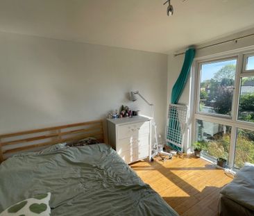 Dale Grove - Photo 4