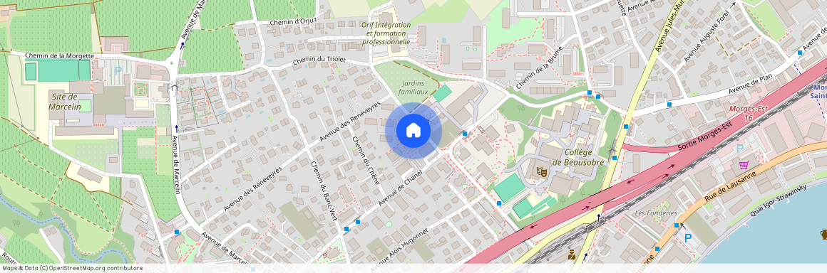 1110, Morges, Ch. de Bellevue, 1