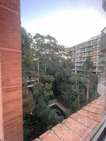 Artarmon - Photo 5