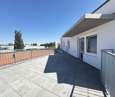 ERSTBEZUG „ein viertel grün“ in Wiener Neustadt - zentral gelegene ... - Photo 6