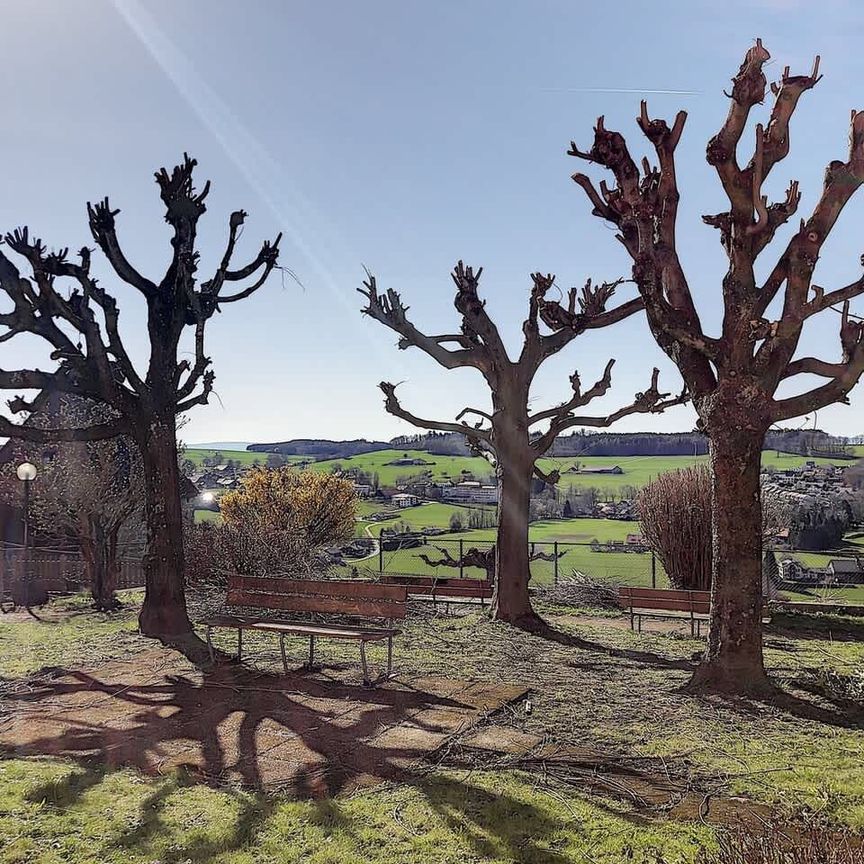 2.5 Zimmer, 82 m², Untergeschoss - Foto 1