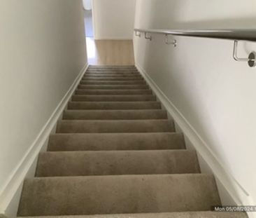 Beauty on Bellbird!! - Photo 5