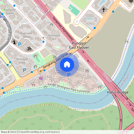 172D Sengkang East Drive (544172), Singapore