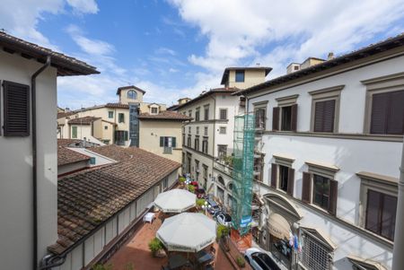 Palazzo Ginori - Appartamento Stampino - Photo 3