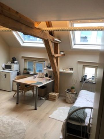 kamer 9 - Keizer Karelstraat 24 - Photo 3