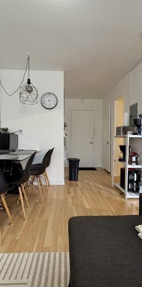 Appartement 3 ½ à louer Sainte-Foy / Sillery juillet 2026 - Photo 1