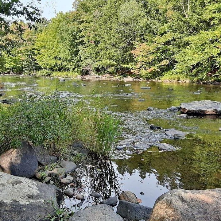 Apppartement à louer 5 1/2 Bromont - Photo 1
