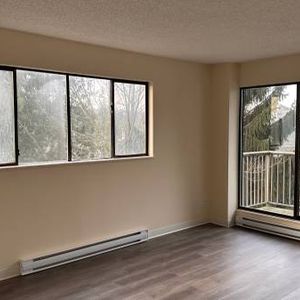 MARCH 2025 1-Bedroom Fully Renovated close to SkyTrain (Lougheed) - Photo 2