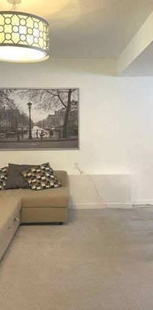 1 bedroom & Den furnished suite ground level east Abbotsford - Photo 1