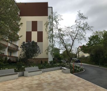 3-Raum-Wohnungen in Cunewalde zu vermieten - Photo 3