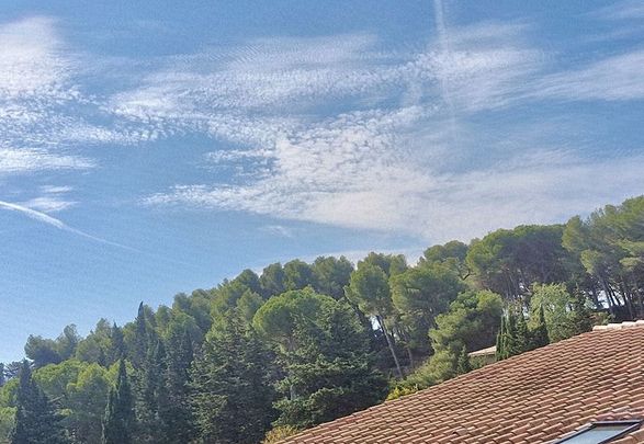 Appartement 3 pièces à louer - Photo 1