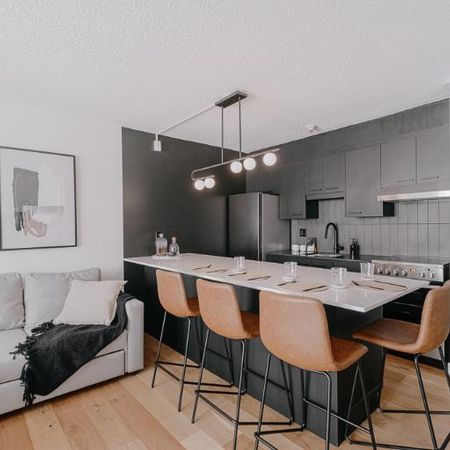 Loft entièrement meublé à louer Saint-Jean-Baptiste juillet 2026 - Photo 4