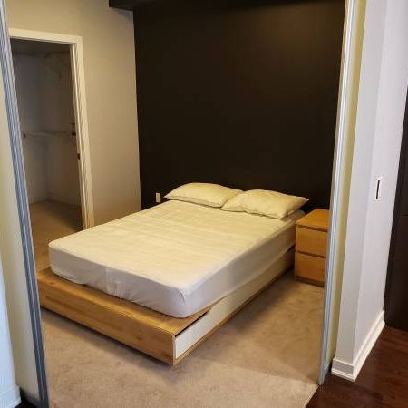 1+1 @ Lumiere FURNISHED (downtown / UofT / hospitals) - Photo 1