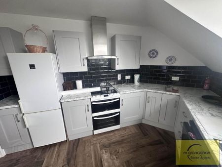 Apt 3, Ormonde Park, Belfast, BT10 0LT - Photo 3