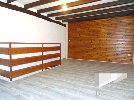 Duplex à louer, 2 pièces - Fleury-les-Aubrais 45400 - Photo 2