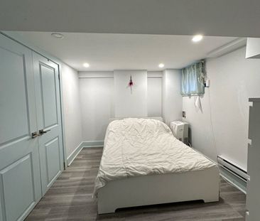 For Lease - 48 Euclid Avenue Unit# Lower, Toronto, Ontario - Photo 5