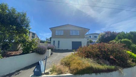 Sunny on Strode - Photo 2