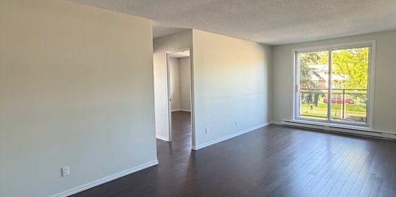 2 CH - 1 SDB - Gatineau - $1,799 /mo - Photo 3