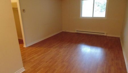 Veronica Drive - Photo 3