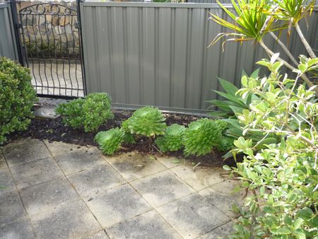 CENTRAL OREWA-2 BED TOWNHOUSE WITH MUCH MORE! - Photo 4