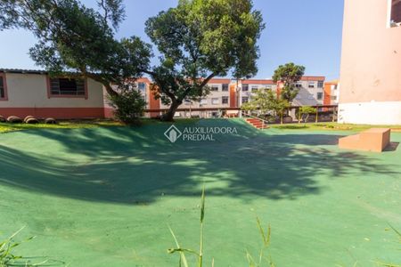 Apartamento com 1 quarto e 39m² para alugar em Santa Tereza, Porto Alegre. - Photo 4