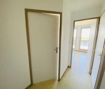 Location Appartement 1 pièce 31m² LE MESNIL ESNARD 76240 - Photo 6