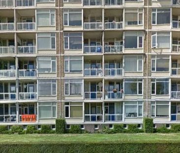 Denenburg 0ong, 2591 AD Den Haag, Nederland - Foto 2