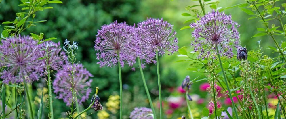 Appartement de standing au coeur de Florissant - Photo 1