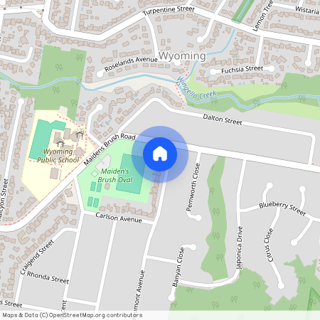 4 Beaumont Avenue, Wyoming NSW 2250