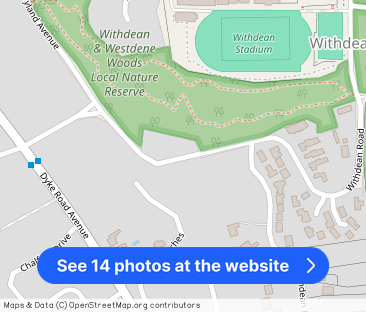 Wayland Avenue, Withdean, Brighton - Photo 1