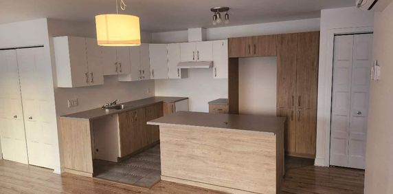 Appartement de 2 chambres et 1 salle de bain - Photo 2