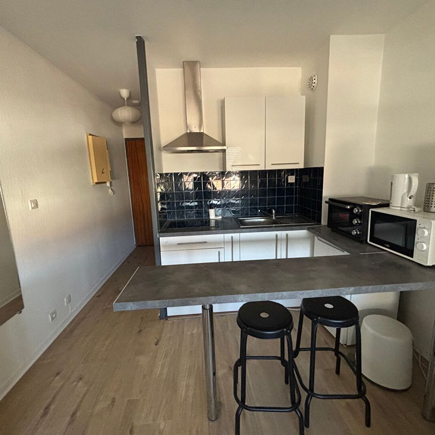 Location Appartement 1 pièce 18m² - Photo 1