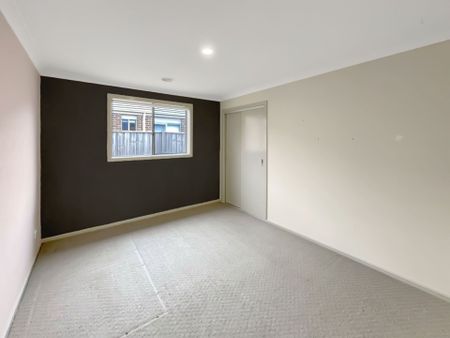 113 Edwards Street, Sebastopol - Photo 4