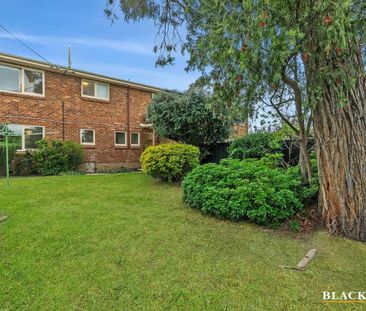 Whimsical 2-Bedroom + Study Home in Prime Braddon Location - Photo 5