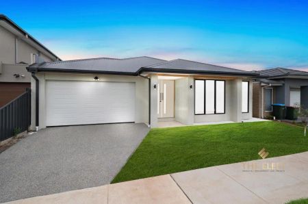 50 Navigation Road, Tarneit VIC 3029 - Photo 4