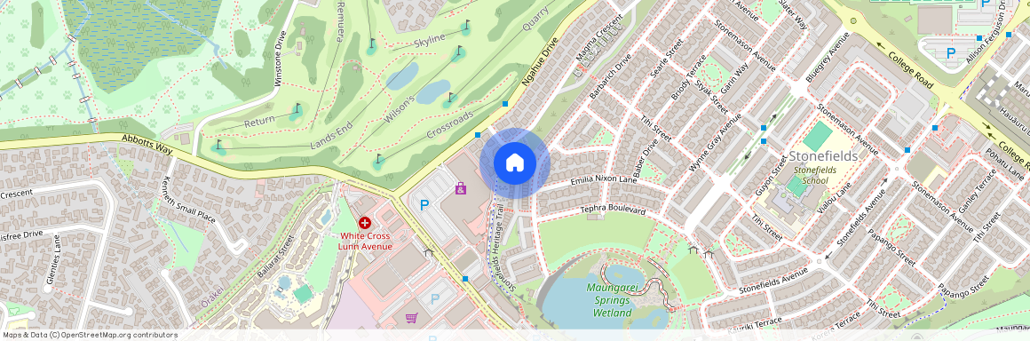 16 Charles Heaphy Lane, Stonefields, Auckland City