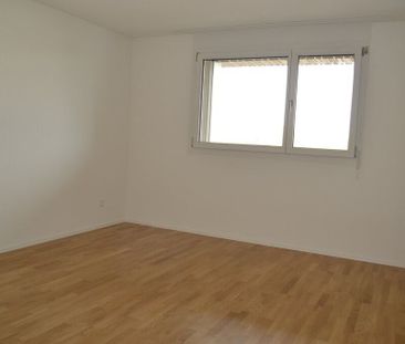 Nice 2.5-room apartment in Wabern - Foto 3