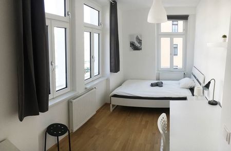 Triester Straße Zimmer 2 - Photo 4