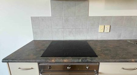 Modern One-Bedroom Apartment in Gated Complex - Photo 4