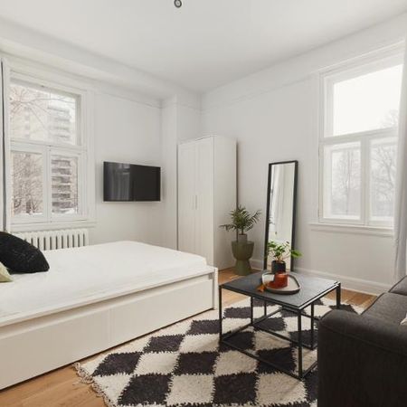 Loft entièrement meublé à louer Montcalm / Saint-Sacrement septembre 2026 - Photo 3