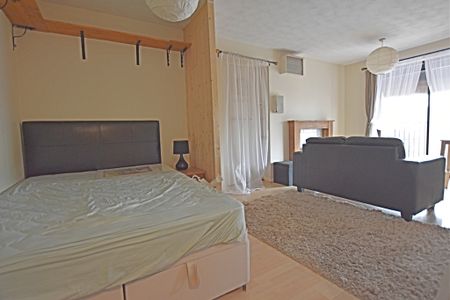 1 Bedroom Studio - Photo 4
