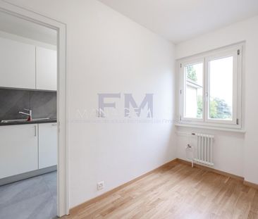 2.5 Zimmer, 36 m², 1. Stock - Photo 3