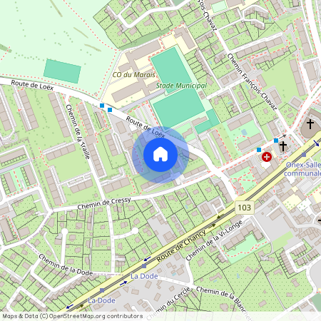 Ch. de Cressy 6 B, 1213 Onex