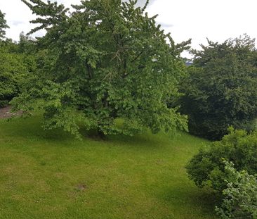 Location Appartement 2 pièces 35m² LOUVROIL 59720 - Photo 5