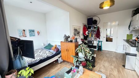 Adriaen van Ostadelaan, 115, 3583AD, Utrecht - Foto 3