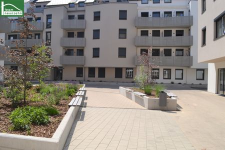 Tolle 2-Zimmer-Wohnung mit Terrasse in St. Pölten – WOHNGLÜCK in bester Lage - Foto 2