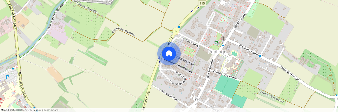 Chemin du Courtil 10, 1241 Puplinge