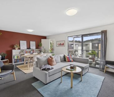 Sun filled apartment - Photo 1